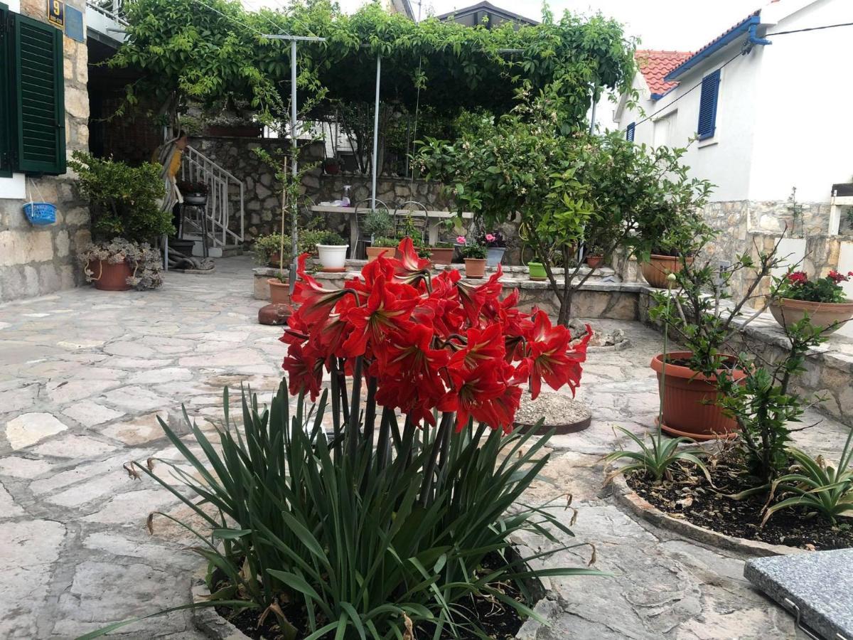 Apartament Vanja Bol